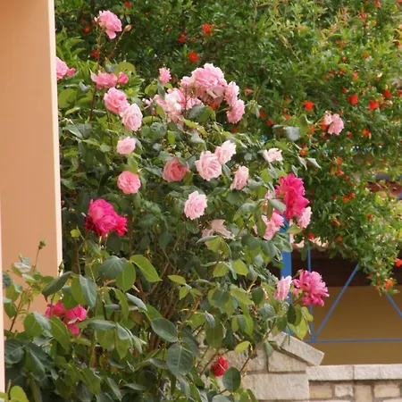 Apart Otel View Luxury 4*