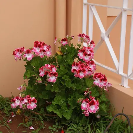 View Luxury Apart Otel