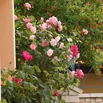 شقة فندقية View Luxury 4*