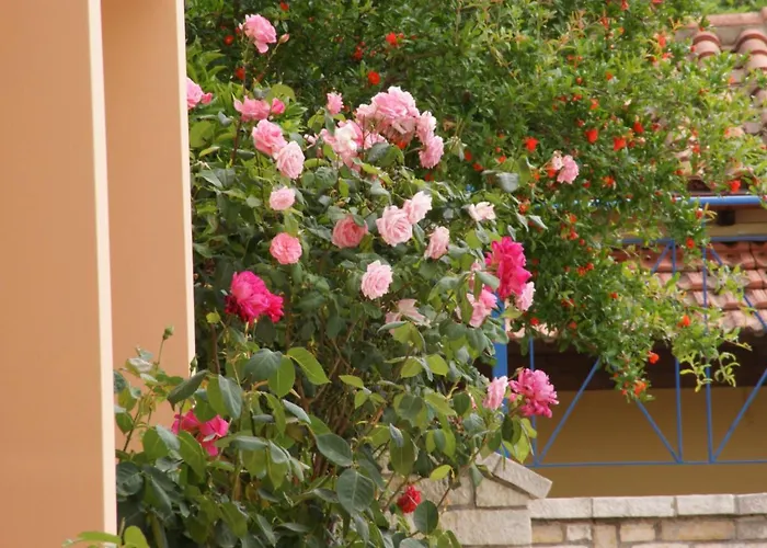 شقة فندقية View Luxury 4*