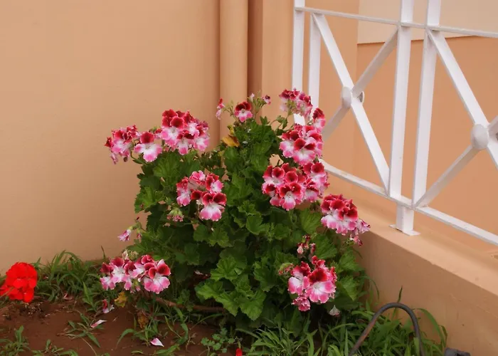 View Luxury Appart hôtel